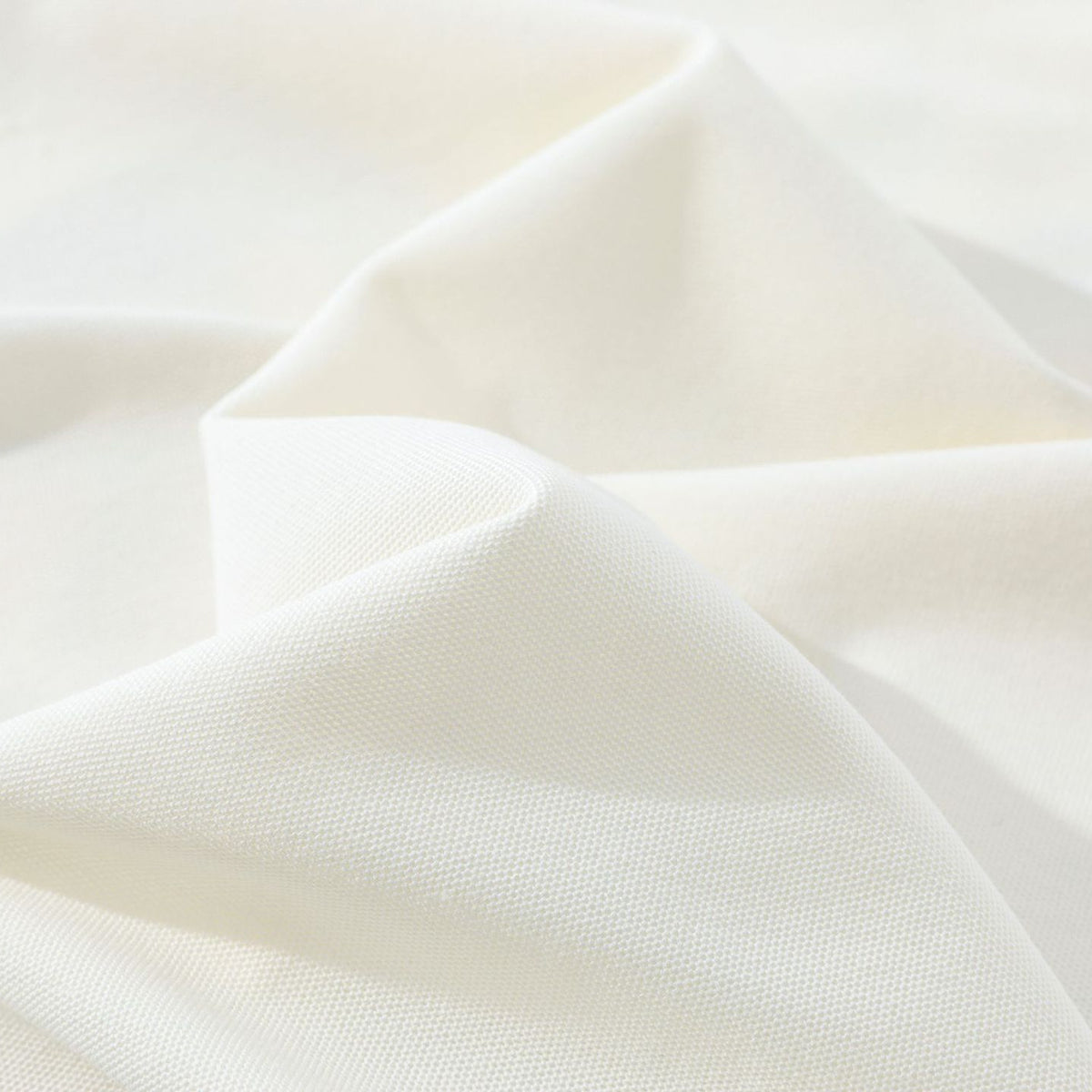 American retro kitten short sleeves