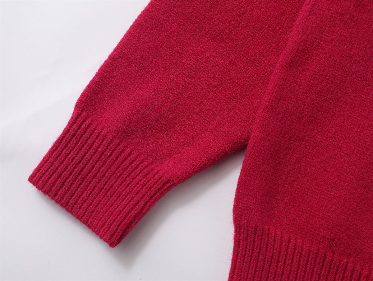 可愛蛇年紅色毛衣