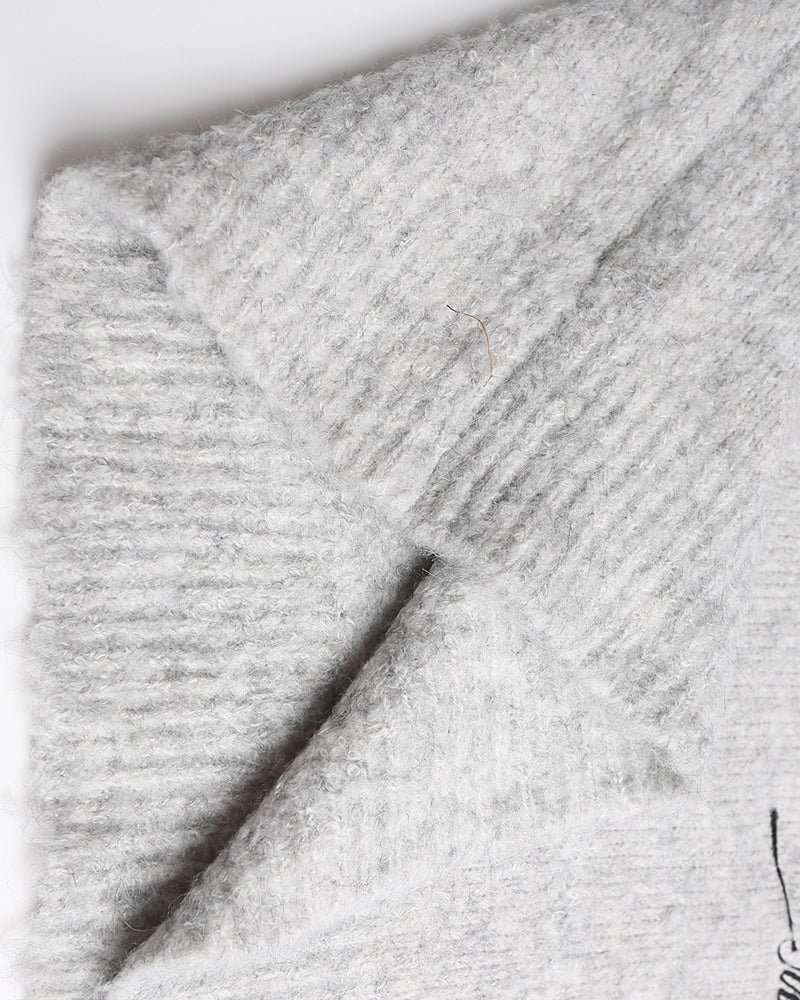 聖誕帽小狗毛衣