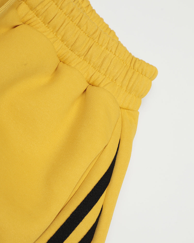 embroidered paneled trousers