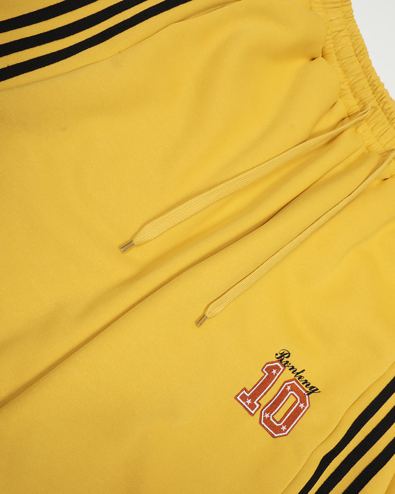 embroidered paneled trousers