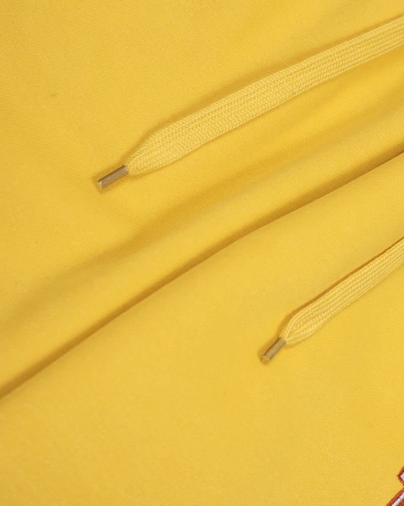 embroidered paneled trousers