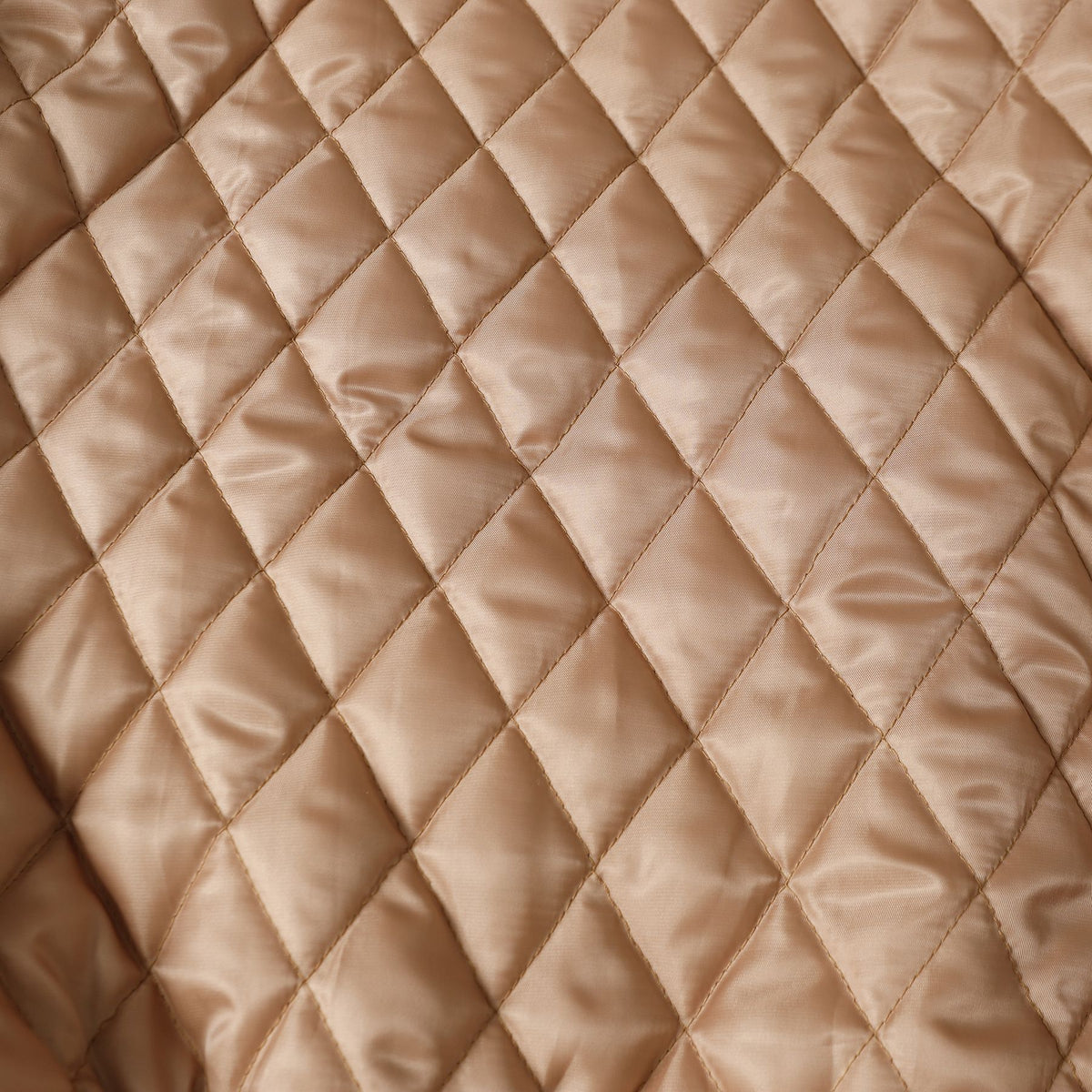 Cartoon embroidery padded jacket