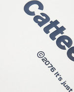 Colorblocked round neck short sleeves