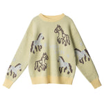 Crew neck knit sweater