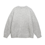 聖誕帽小狗毛衣